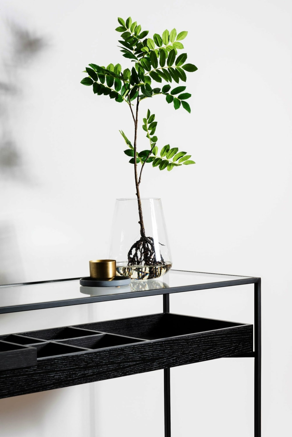 Image showcasing Best in Botanical Interior Design Ideas