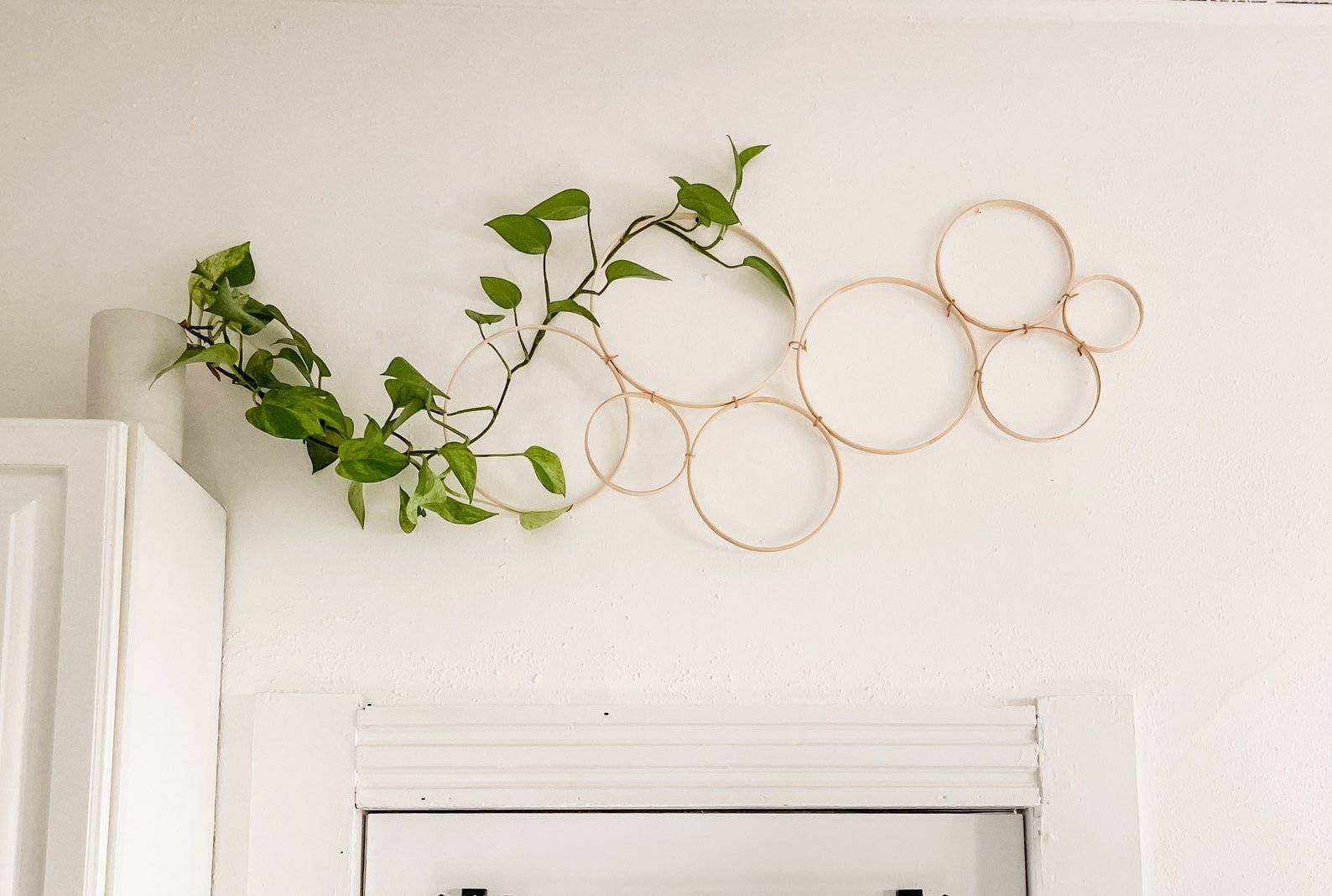 indoor plant trellis on wall in rental bedroom with devils ivy plant