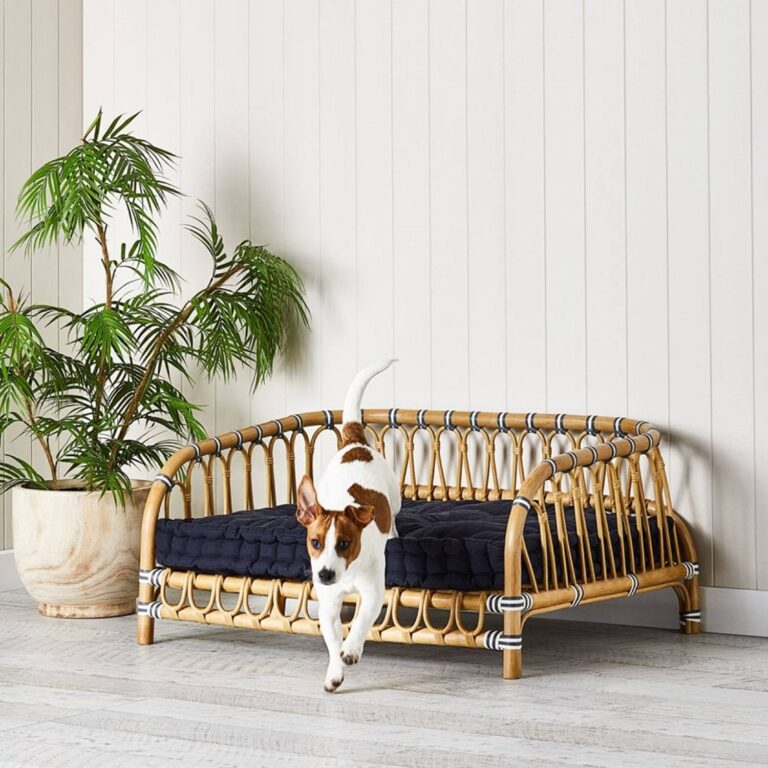 20 Best High End Dog Beds Good Looking Finds on All Budgets