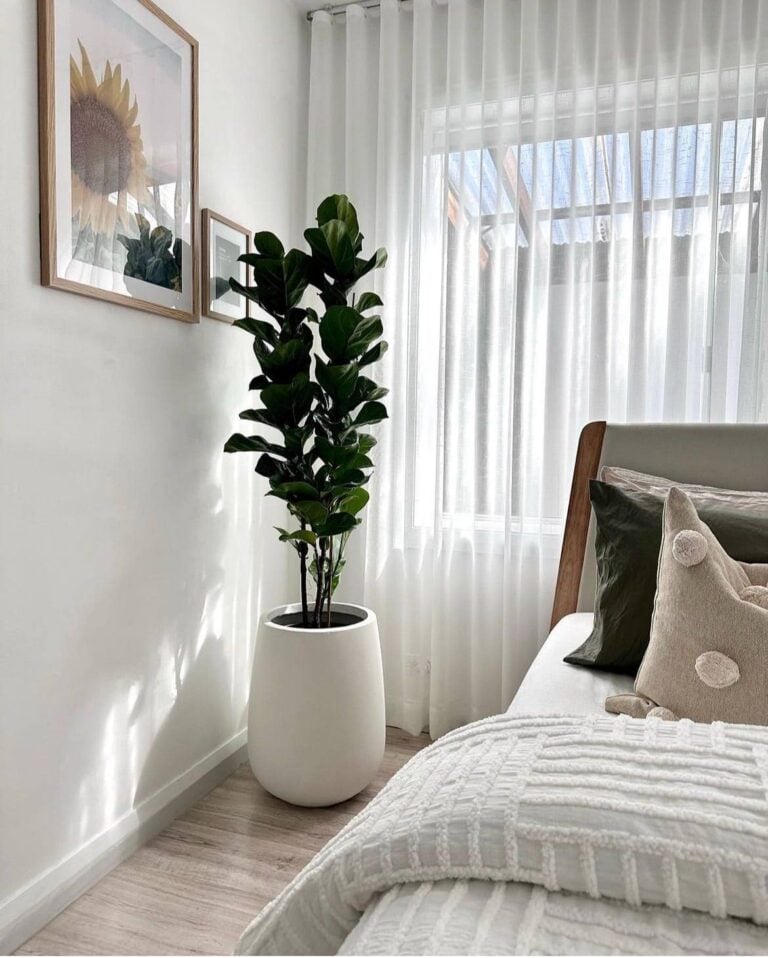 41-stunning-white-bedroom-ideas-with-plants-for-all-budgets